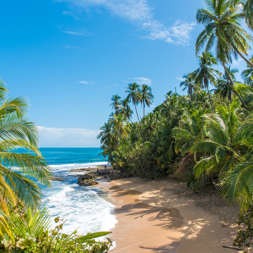 Viaje a Manzanillo todo incluido